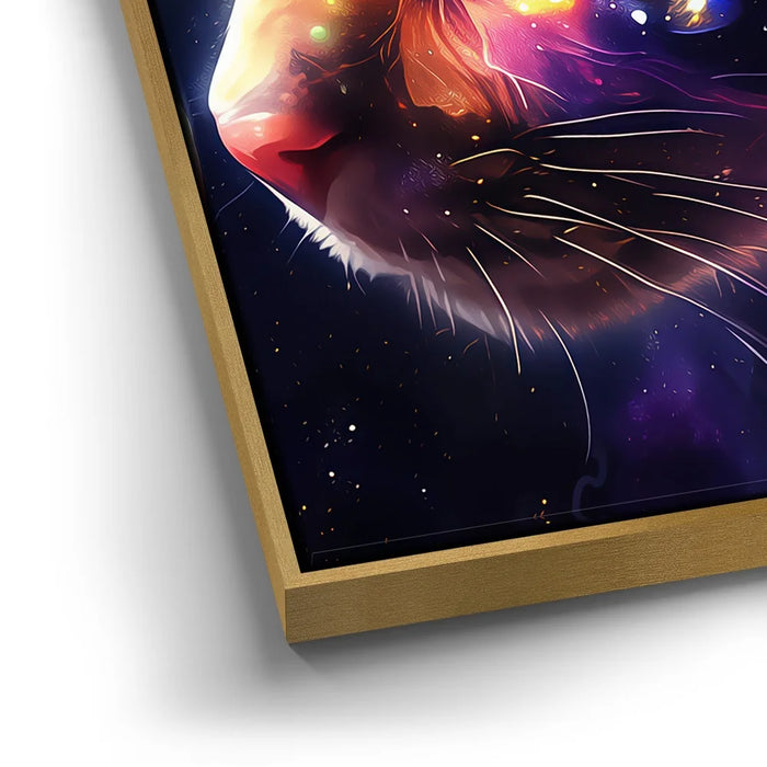 Featured image 13 for Cosmo Cat