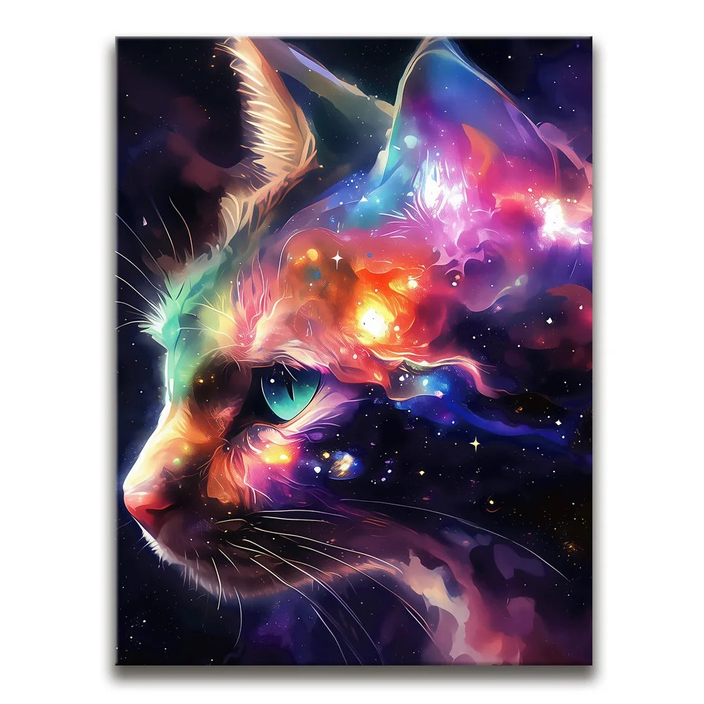 Featured image 1 for Cosmo Cat