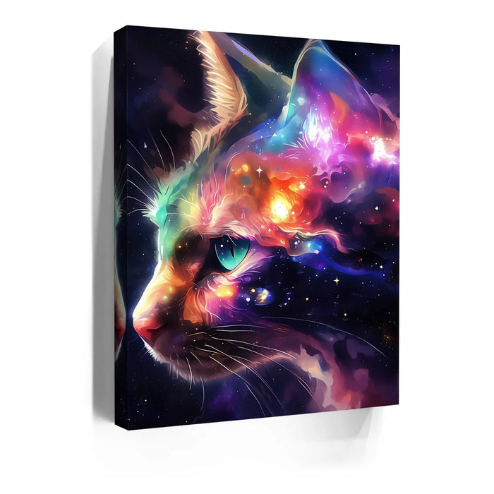 Featured image 5 for Cosmo Cat