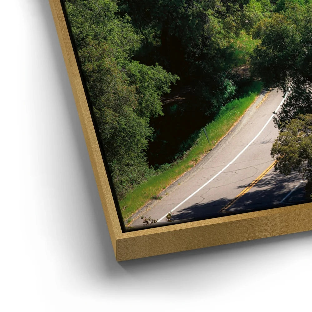 Featured image 12 for Country Road
