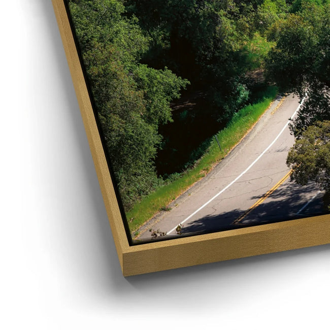 Featured image 12 for Country Road