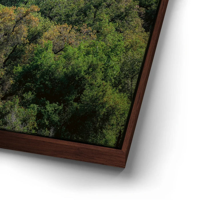 Featured image 14 for Country Road