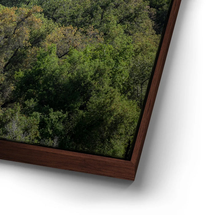 Featured image 15 for Country Road