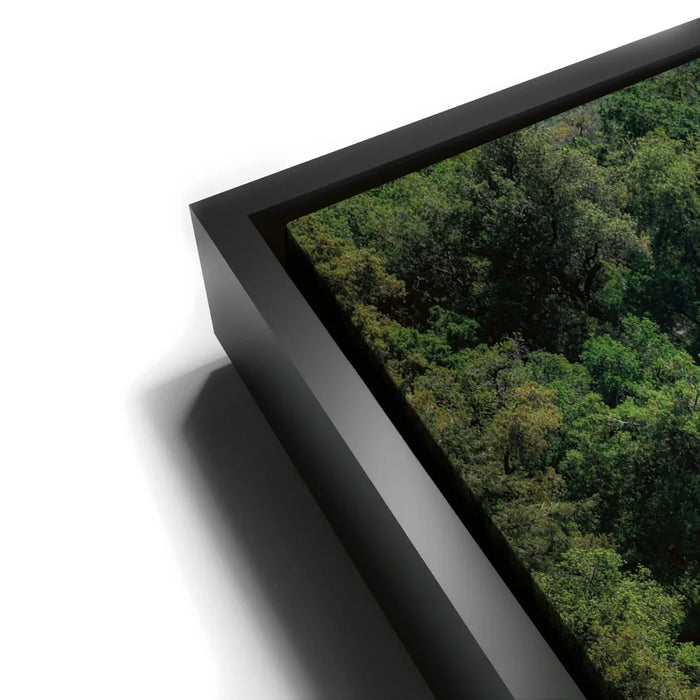 Featured image 11 for Country Road