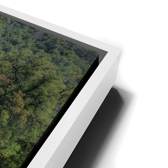 Featured image 14 for Country Road