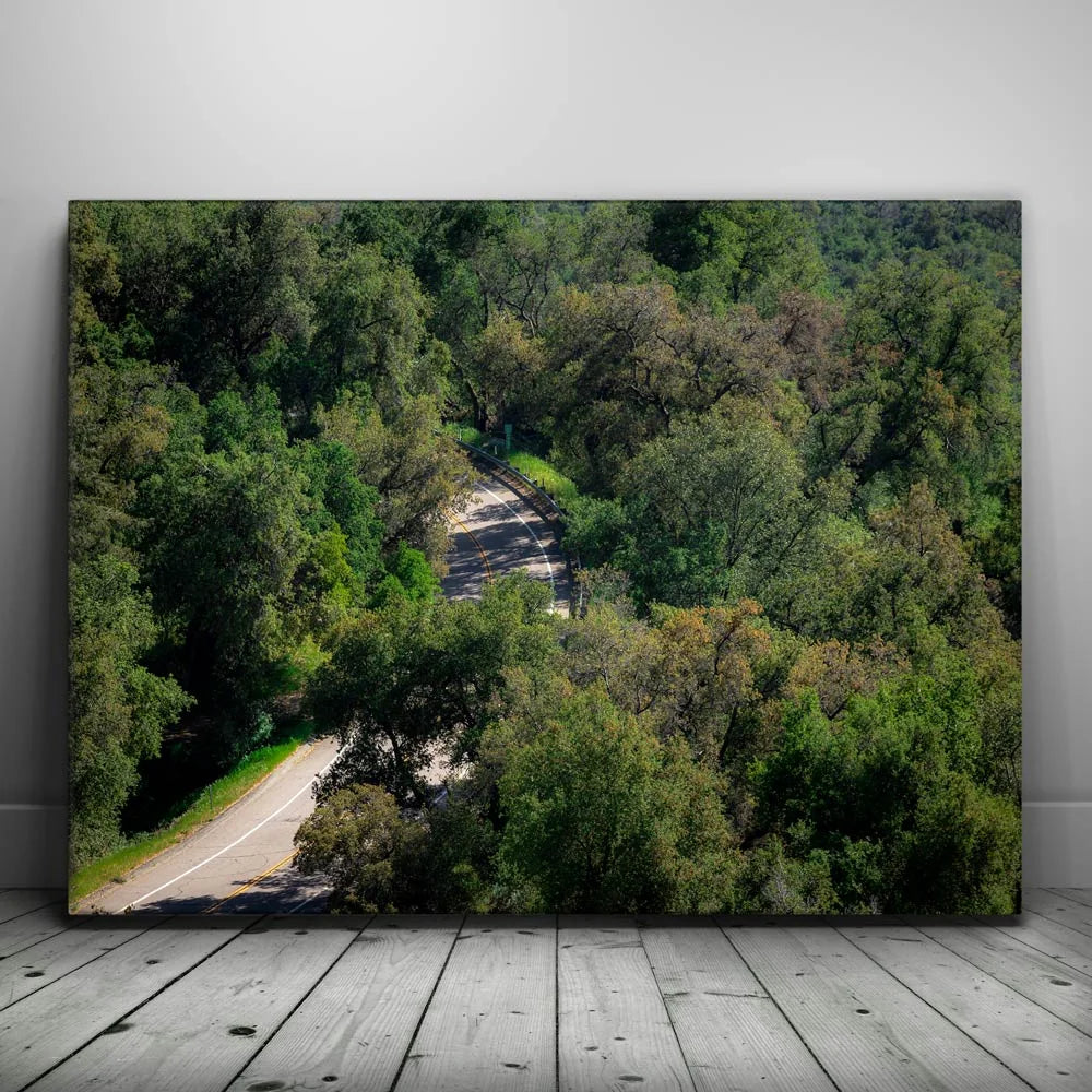 Featured image 1 for Country Road