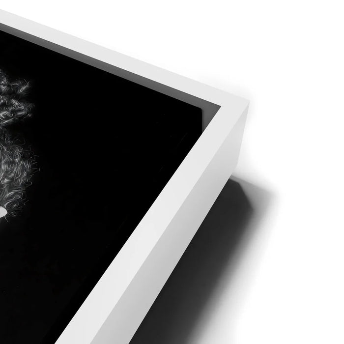 Featured image 14 for Courtbound