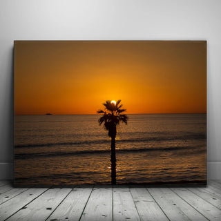 Cradled Sun