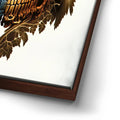 Thumbnail image 14 for Creepy Owl Skull