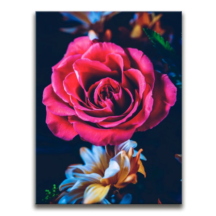 Featured image 1 for Crimson Elegance