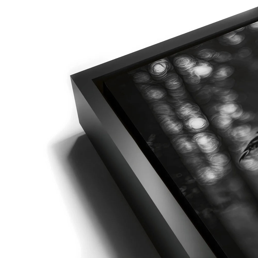 Featured image 11 for Crow Warrior I - Black & White
