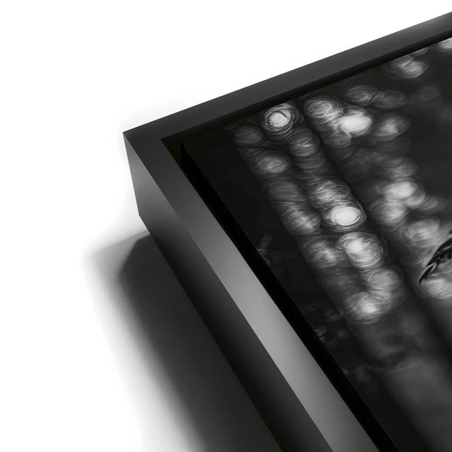 Featured image 11 for Crow Warrior I - Black & White