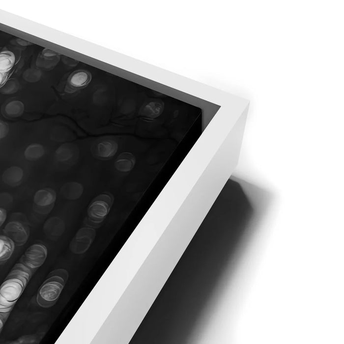 Featured image 14 for Crow Warrior I - Black & White