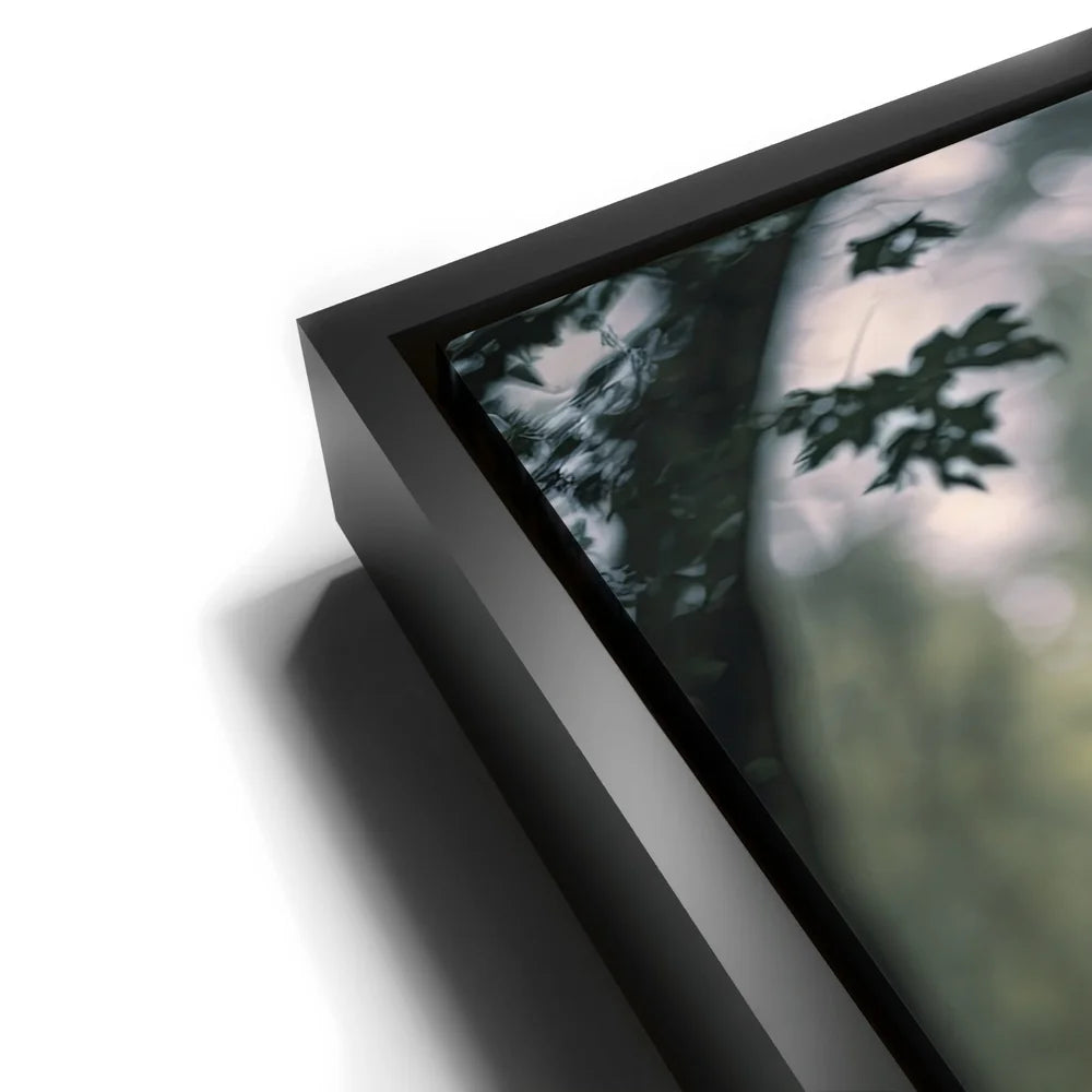 Featured image 11 for Crow Warrior II