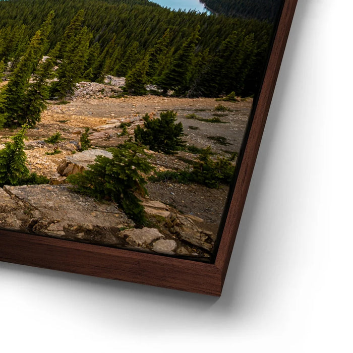 Featured image 15 for Cupped