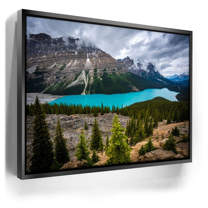 Featured image 6 for Cupped