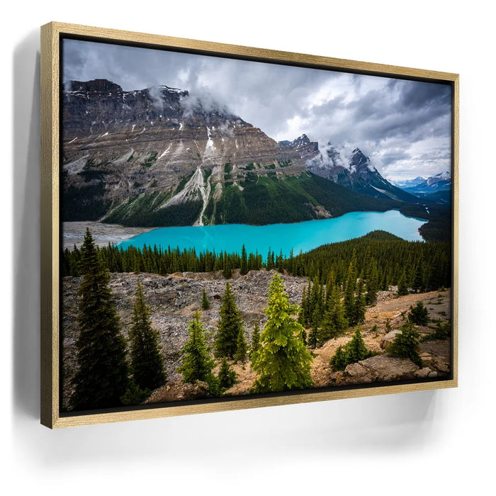 Featured image 8 for Cupped