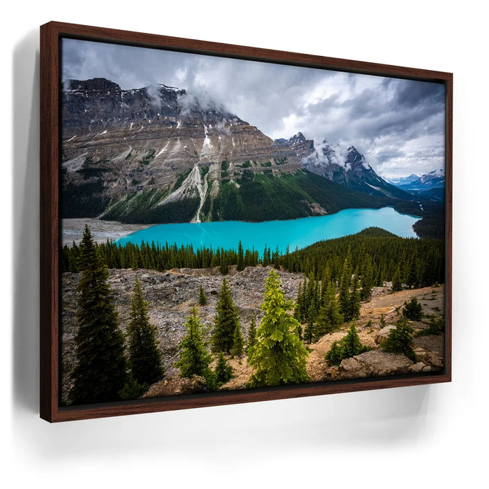 Featured image 11 for Cupped