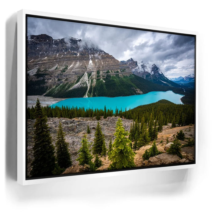 Featured image 7 for Cupped