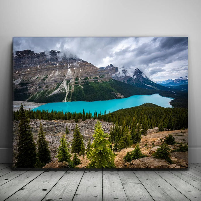 Featured image 1 for Cupped