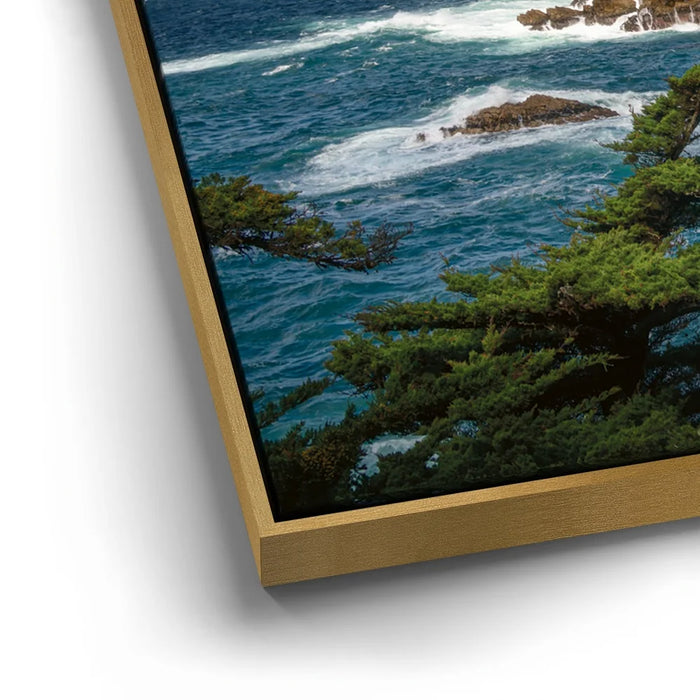 Featured image 12 for Cypress Cove - Point Lobos Natural Reserve, CA