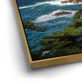 Thumbnail image 12 for Cypress Cove - Point Lobos Natural Reserve, CA
