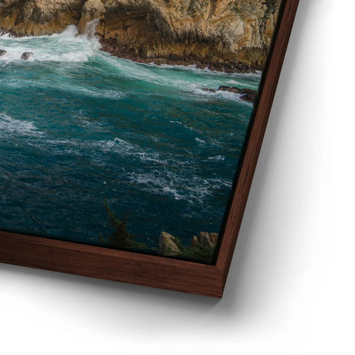 Featured image 14 for Cypress Cove - Point Lobos Natural Reserve, CA