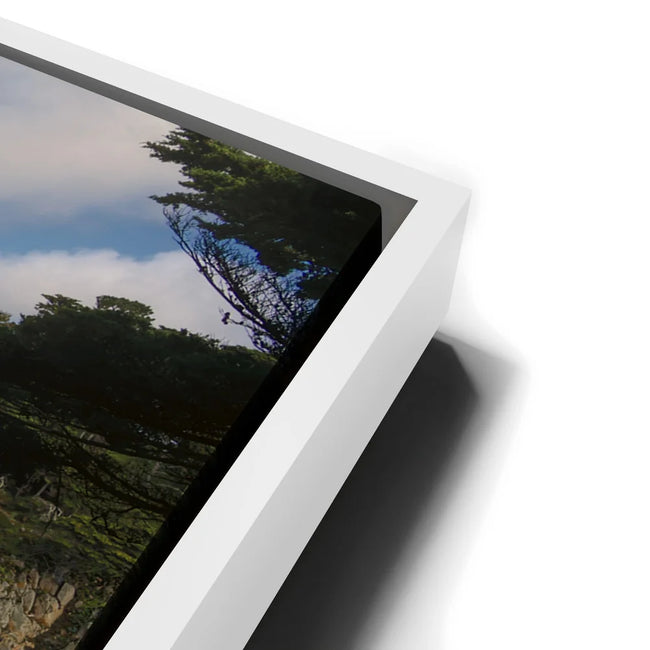 Featured image 13 for Cypress Cove - Point Lobos Natural Reserve, CA