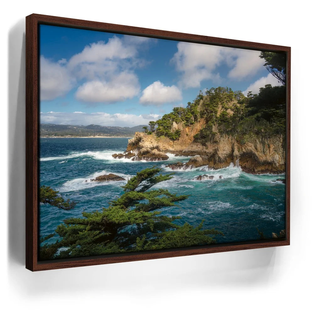 Featured image 10 for Cypress Cove - Point Lobos Natural Reserve, CA