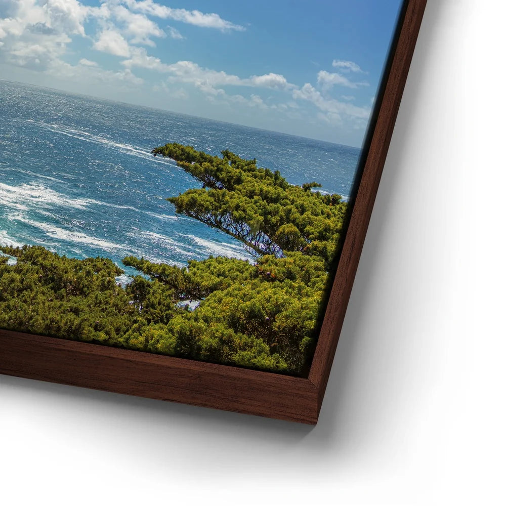 Featured image 14 for Cypress on a Cliff - Vista, Carmel CA