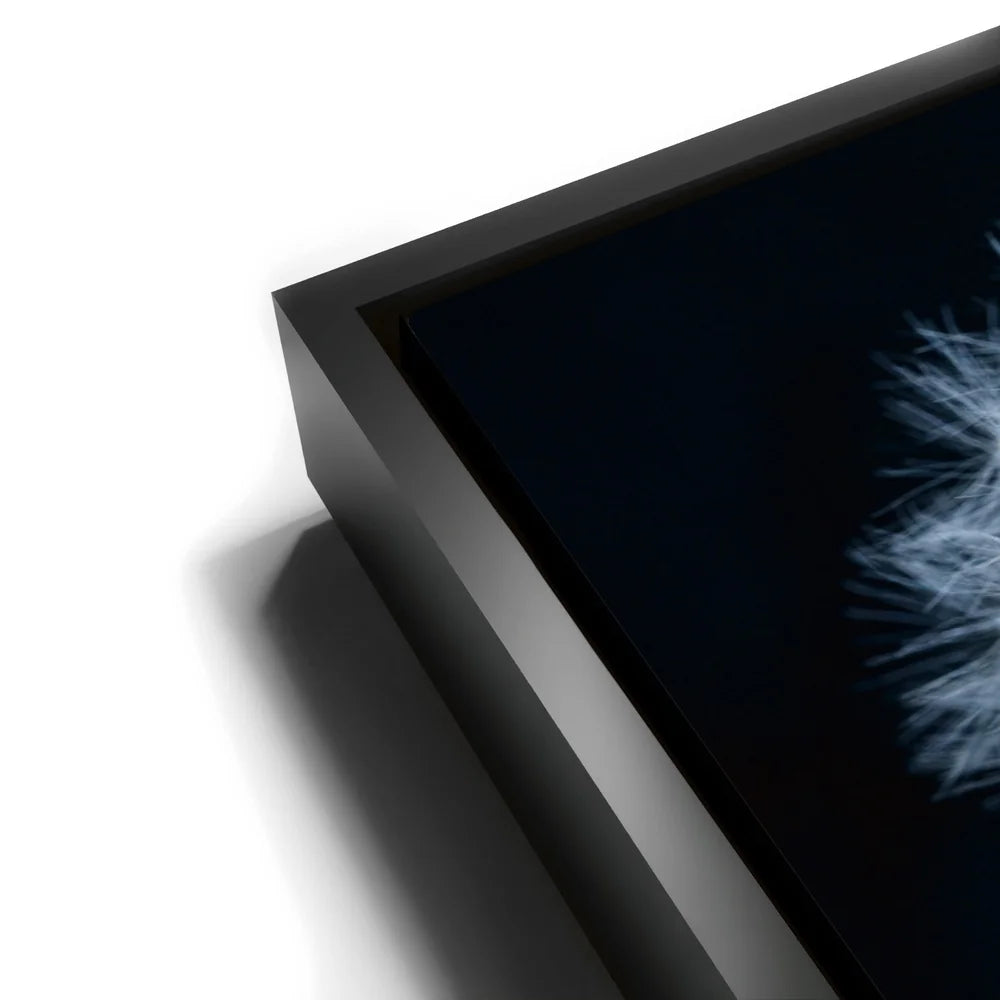 Featured image 11 for Dandelion Dream