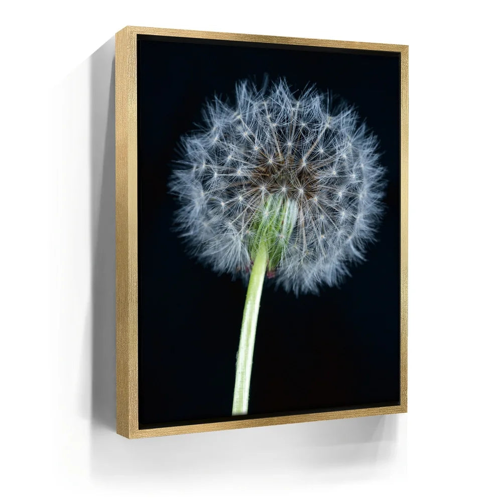 Featured image 7 for Dandelion Dream