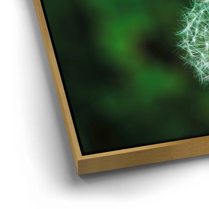 Featured image 12 for Dandelion Dreams