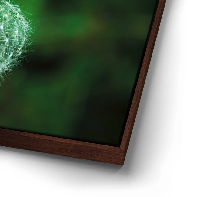 Featured image 14 for Dandelion Dreams