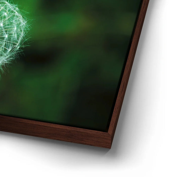 Featured image 14 for Dandelion Dreams