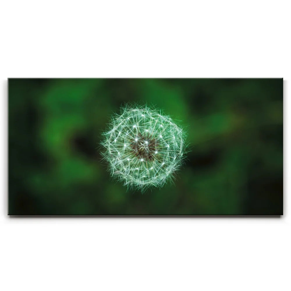 Featured image 1 for Dandelion Dreams