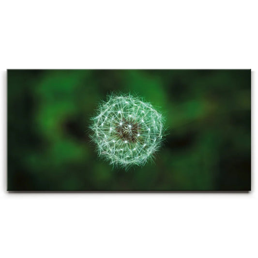 Dandelion Dreams Posters, Prints, & Visual Artwork TheGoatWallArt LANDSCAPE - WIDE 30x15 0.75" STANDARD