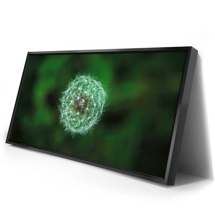 Featured image 2 for Dandelion Dreams