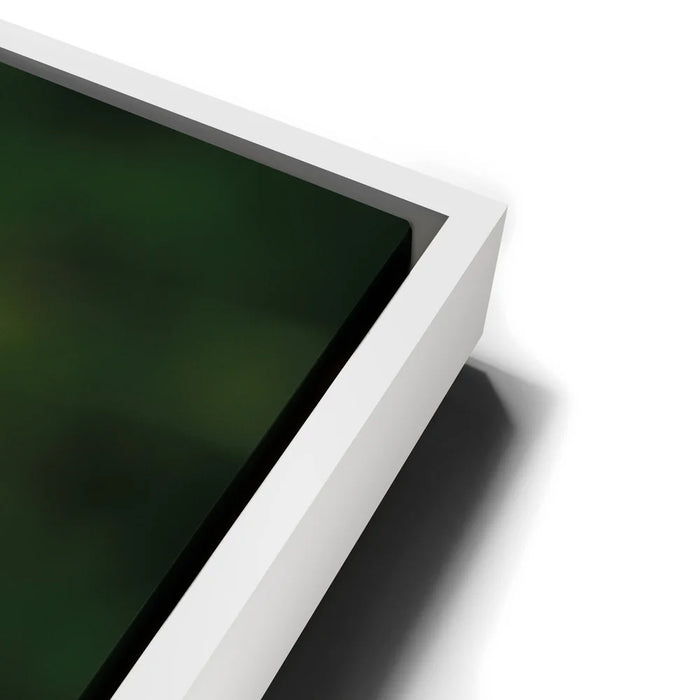 Featured image 13 for Dandelion Dreams