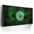 Featured image 5 for Dandelion Dreams