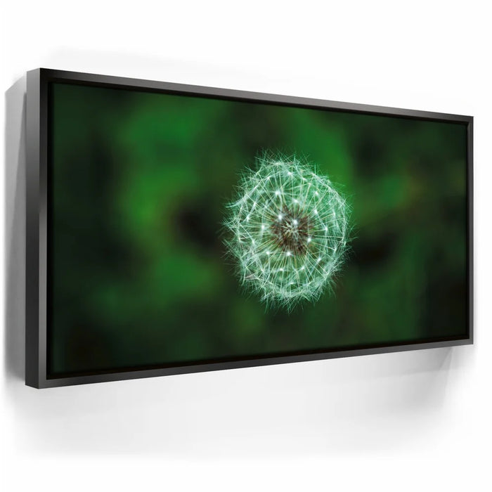 Featured image 5 for Dandelion Dreams