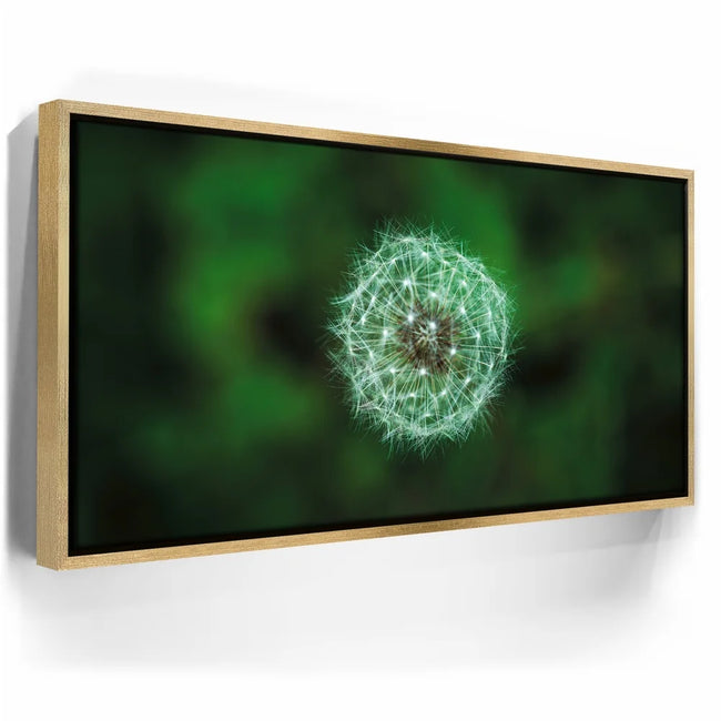 Featured image 7 for Dandelion Dreams