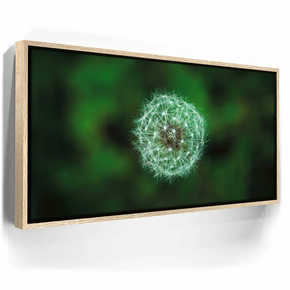 Featured image 9 for Dandelion Dreams