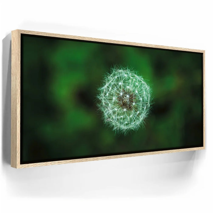 Featured image 9 for Dandelion Dreams