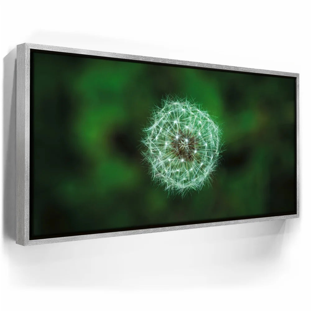 Featured image 8 for Dandelion Dreams