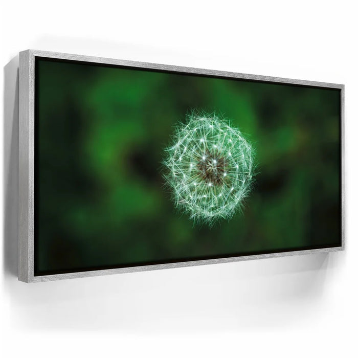 Featured image 8 for Dandelion Dreams