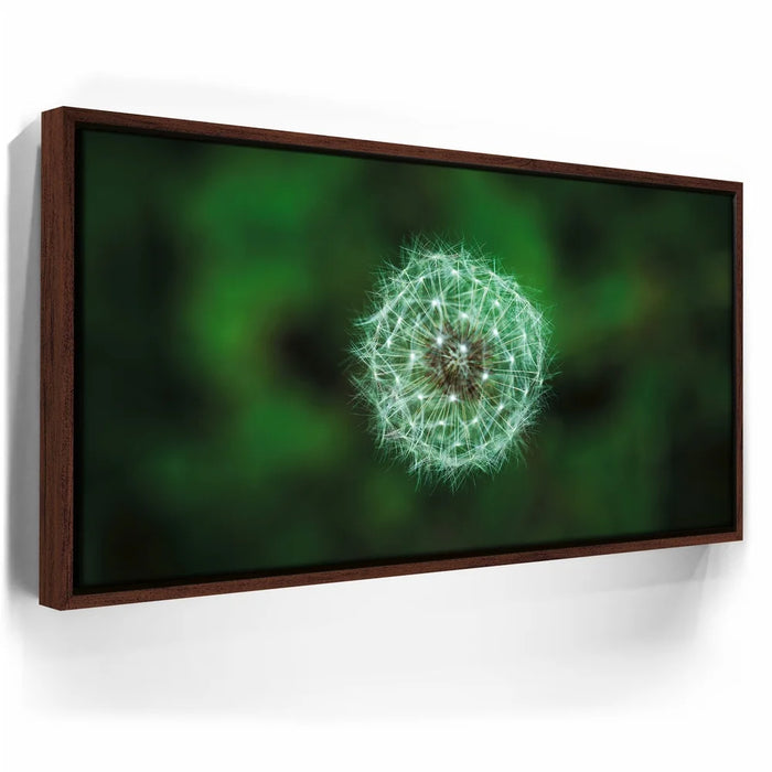 Featured image 10 for Dandelion Dreams