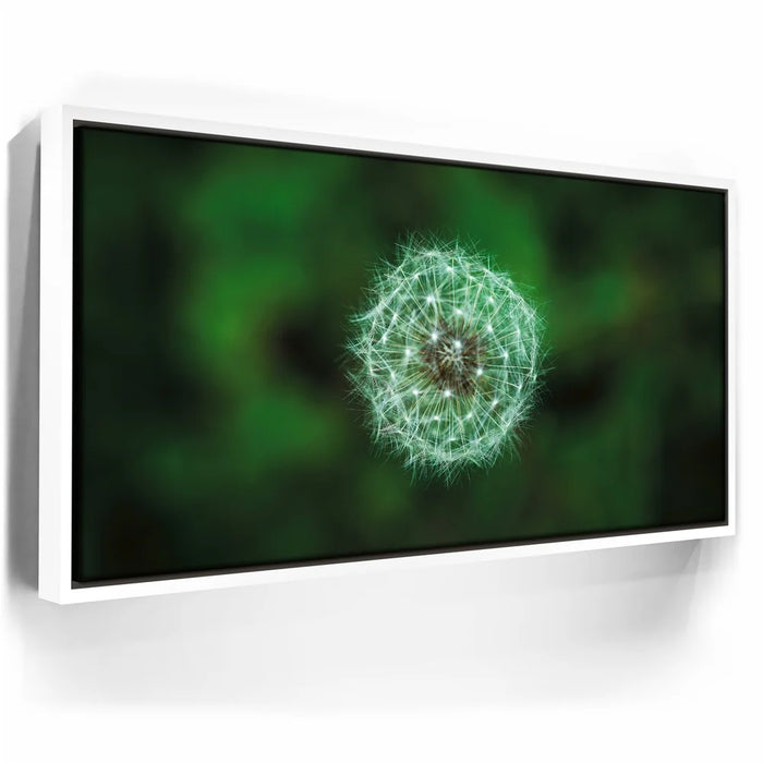 Featured image 6 for Dandelion Dreams