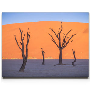 Deadvlei