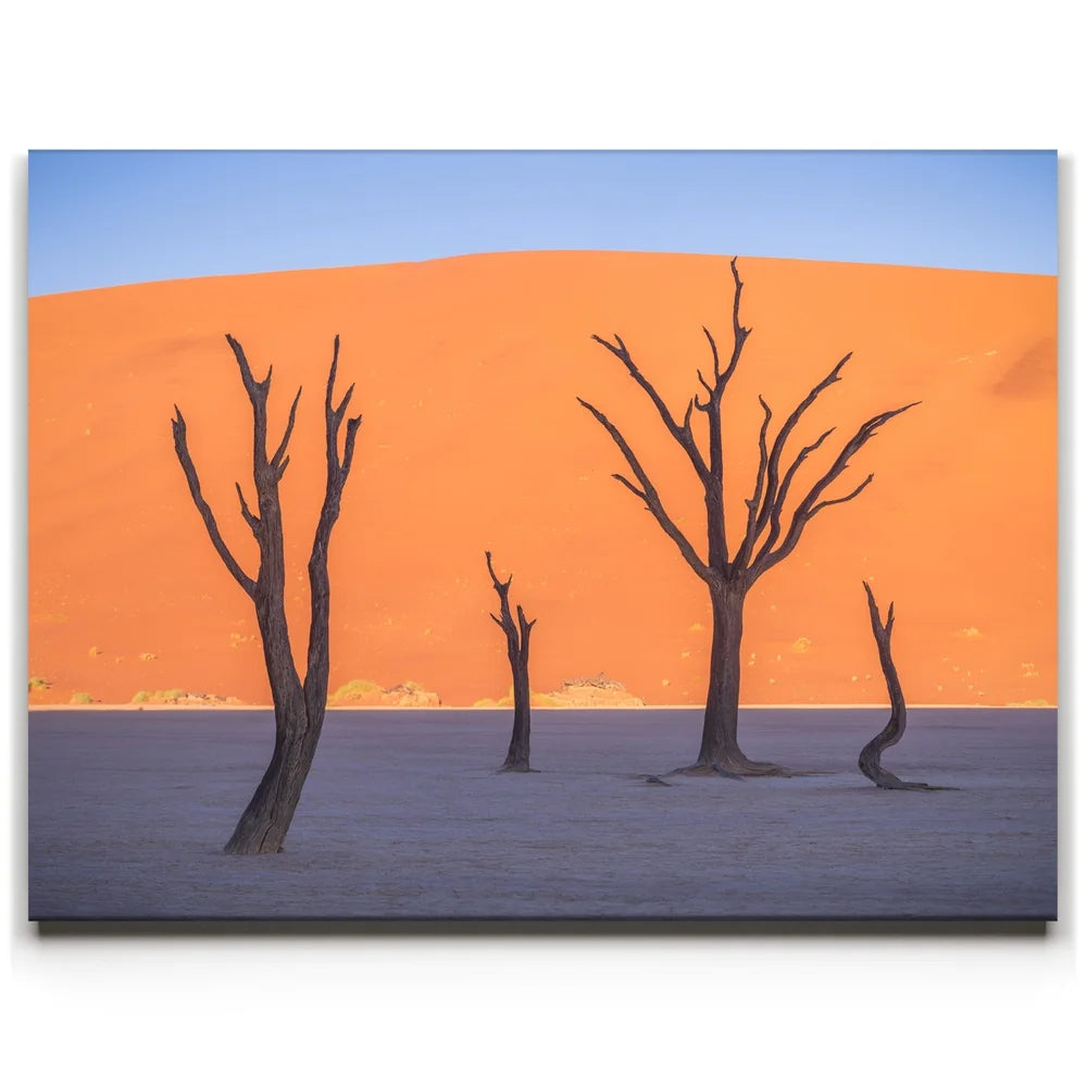 Featured image 1 for Deadvlei
